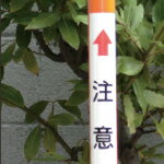 注意ステッカー【日本製　信栄物産】中型ミラーオプション