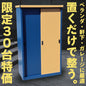 【限定30台のみ特別価格】【送料無料】ダイマツ公式 ネイビー×ナチュラル IES-9255 小型収納庫 屋外 物置 スリム スチール製 棚板4枚付き ベランダ ガーデン